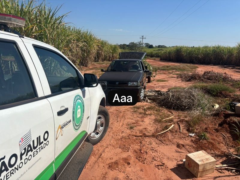 Câmeras flagram descarte irregular de lixo em Andradina