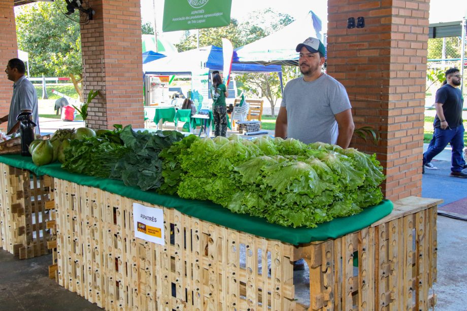 Agricultores e visitantes exploram feira na 1ª Semana da Agricultura Familiar em Três Lagoas.