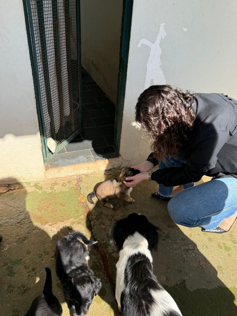 Entrega de rações para ONGs de Araçatuba com líderes do Fundo Social