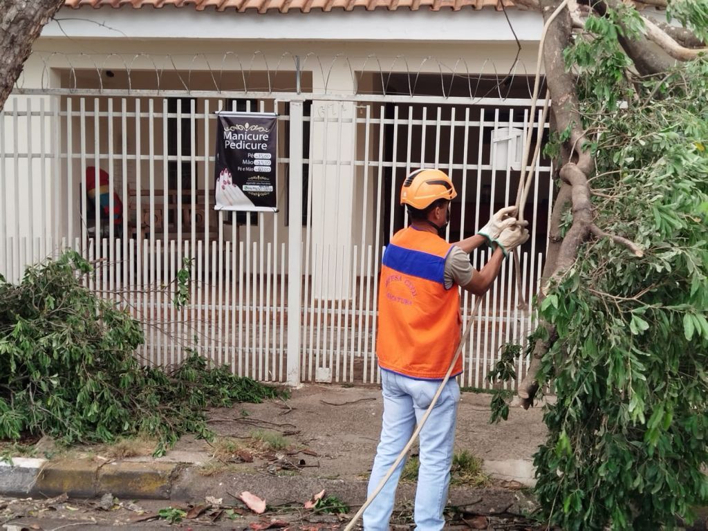 Árvore caída bloqueando Avenida Pedro Janser após vendaval em Araçatuba.