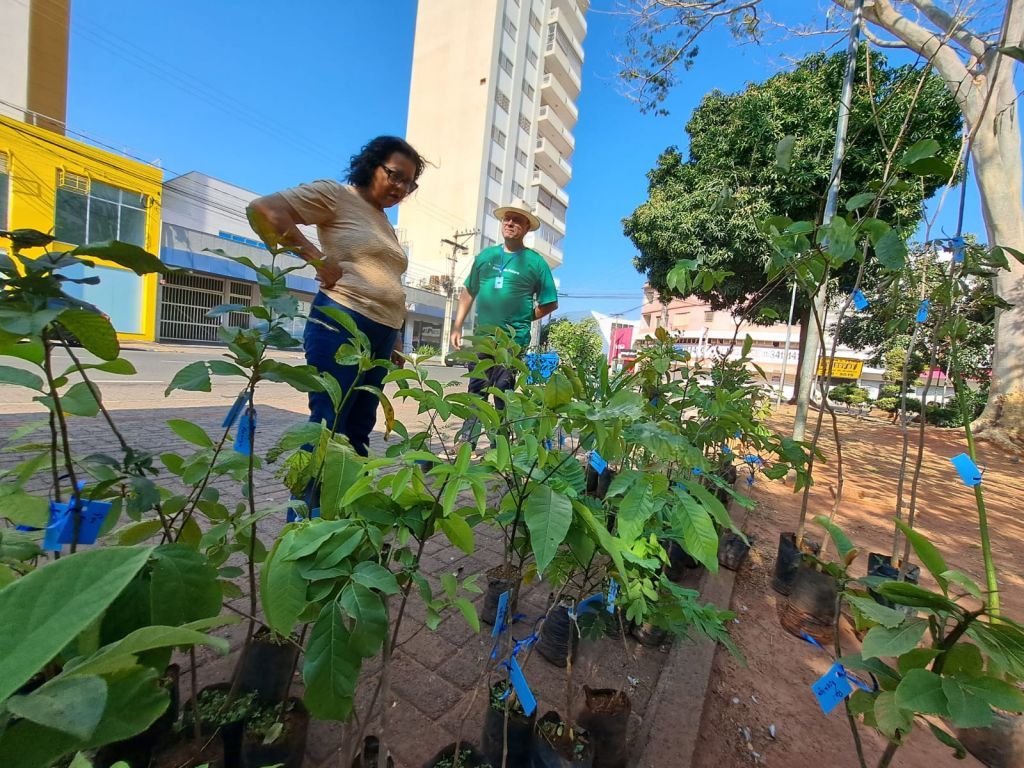 Distribuição de mudas na Praça Rui Barbosa durante a Semana da Árvore em Araçatuba.