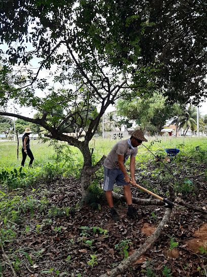 Agrofloresta Comunitária do Pitimbu