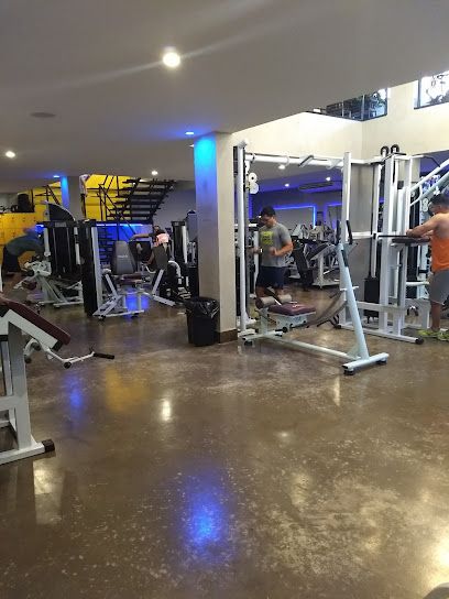 VIDA Academia