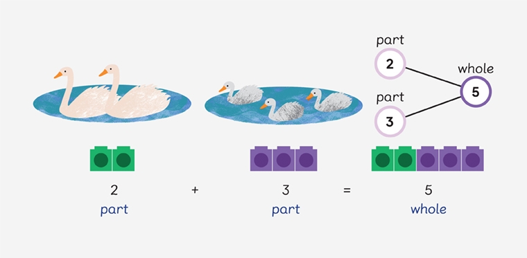 illustration of transition to abstract number bond representation where 2 and 3 swans are then represented by 2 and 3 linking cubes, and then by 2 part and 3 part to make 5 whole