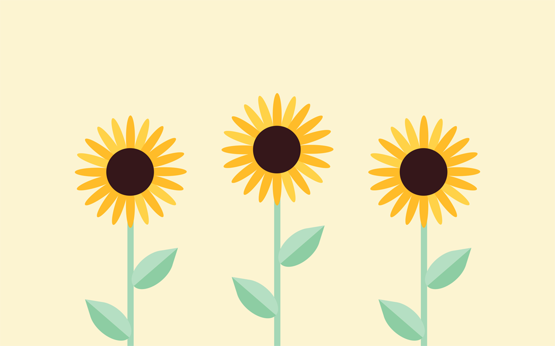 three sunflowers with green stems and yellow pedals. each has 2 leaves.