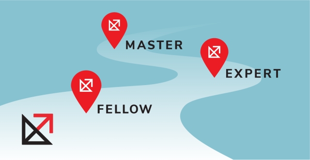 Qualification Programme for Maths — No Problem! Fellow, Expert and Master