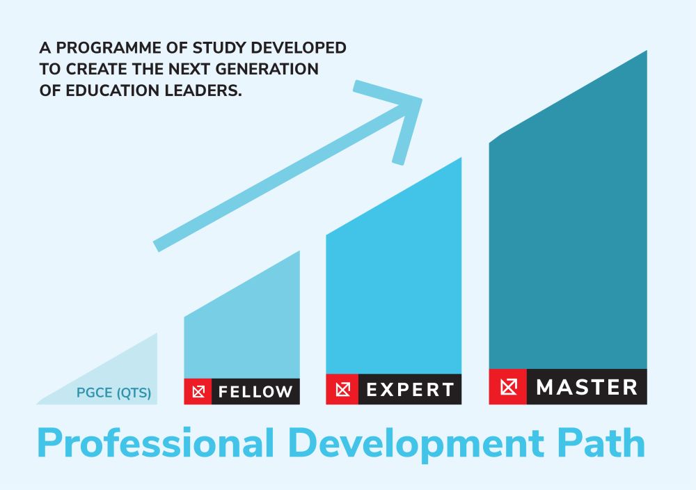 Graph showing the profession development path