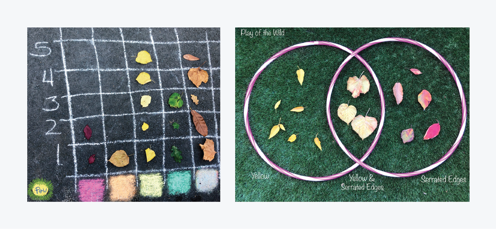 A chart used to colour sort leaves found outside (left). Hula hoops used to sort leaves by colour in a venn diagram (right)