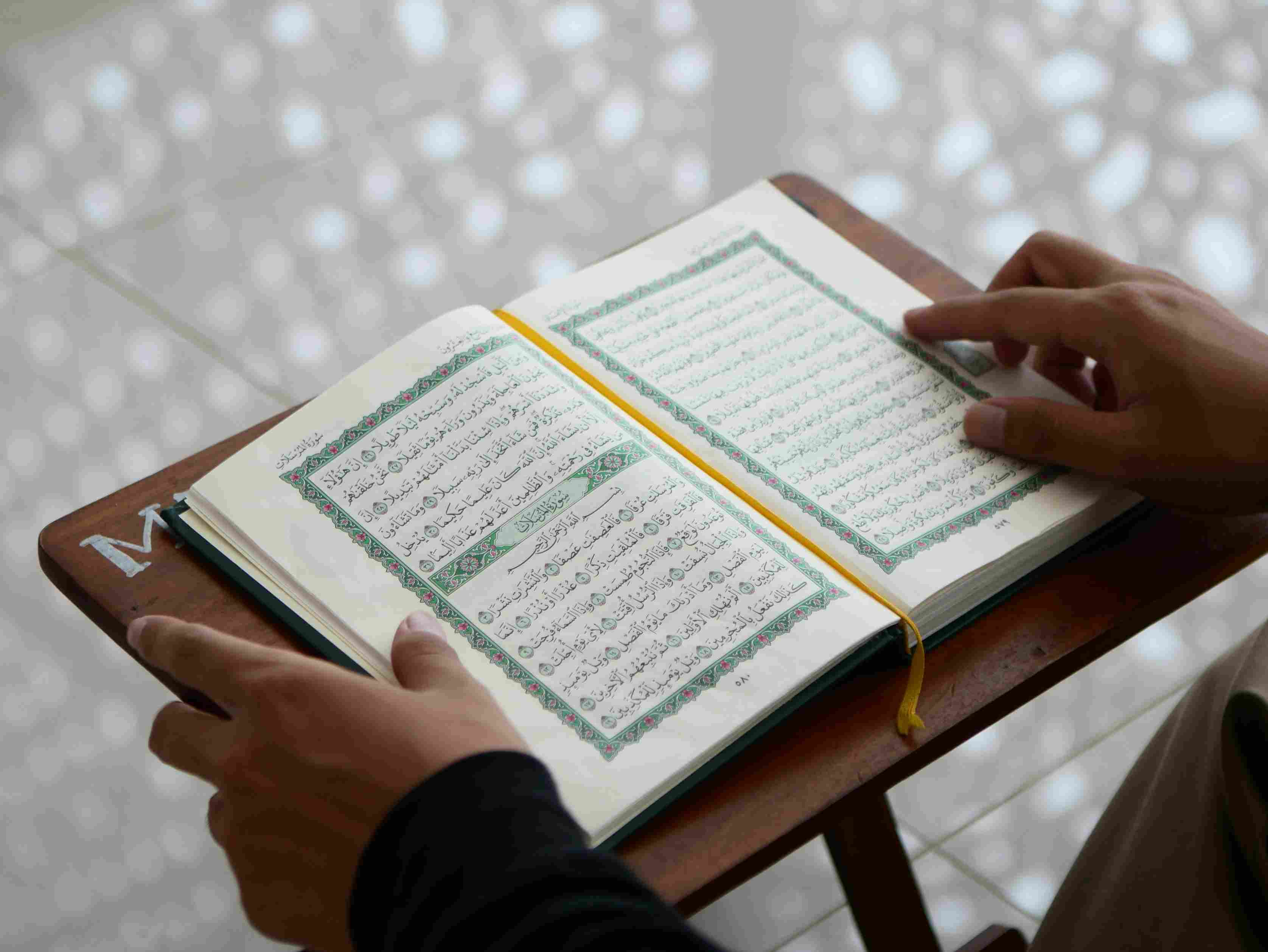 Quran Home School Academy — photo 3