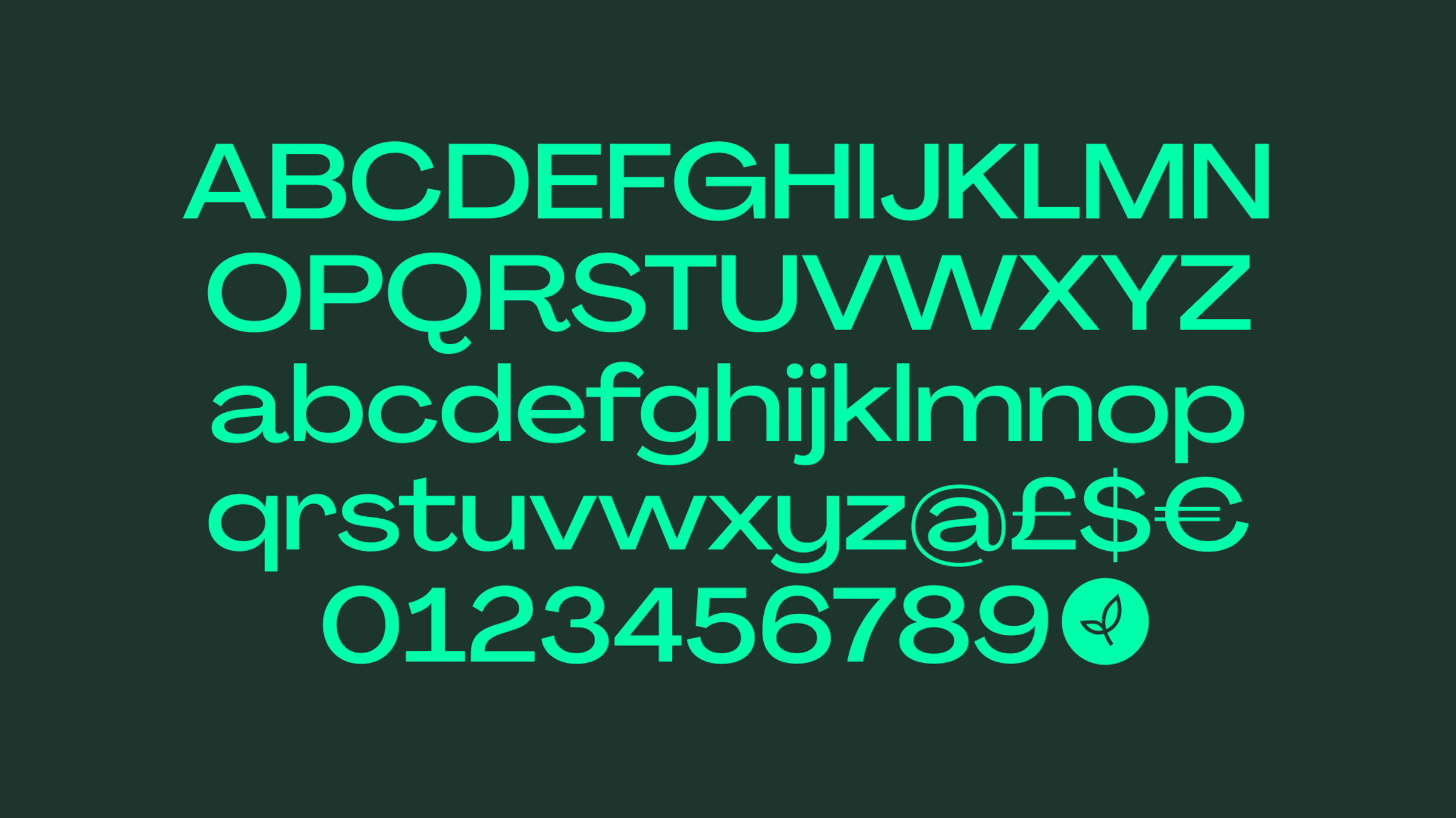Seedcamp headline font