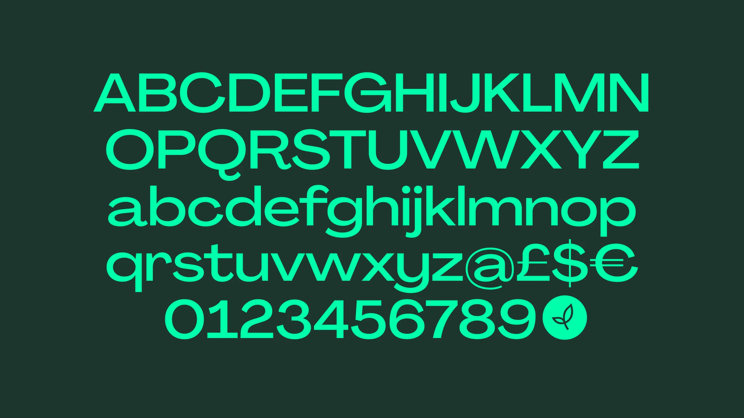 Seedcamp headline font