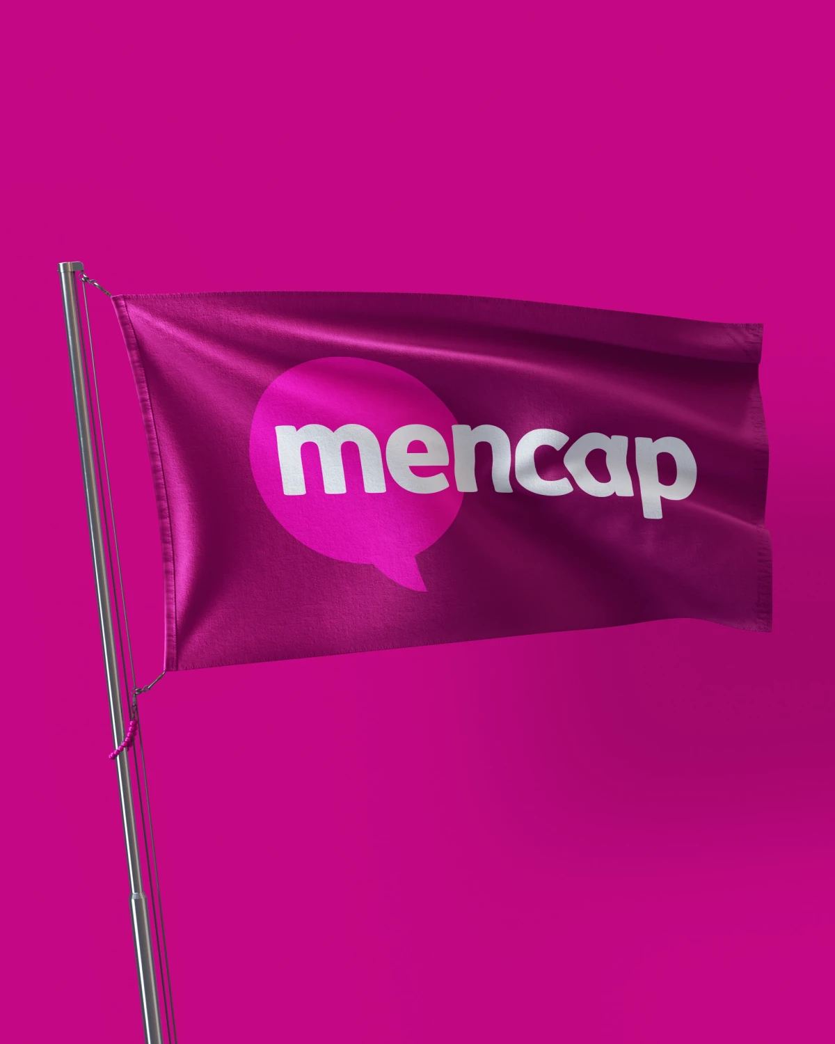 Mencap brand flag