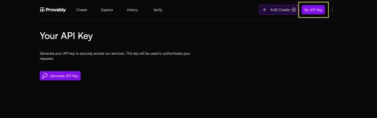 Your API key page in provably app