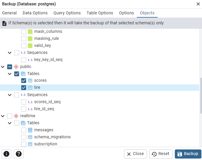 pgAdmin database backup objects tab view