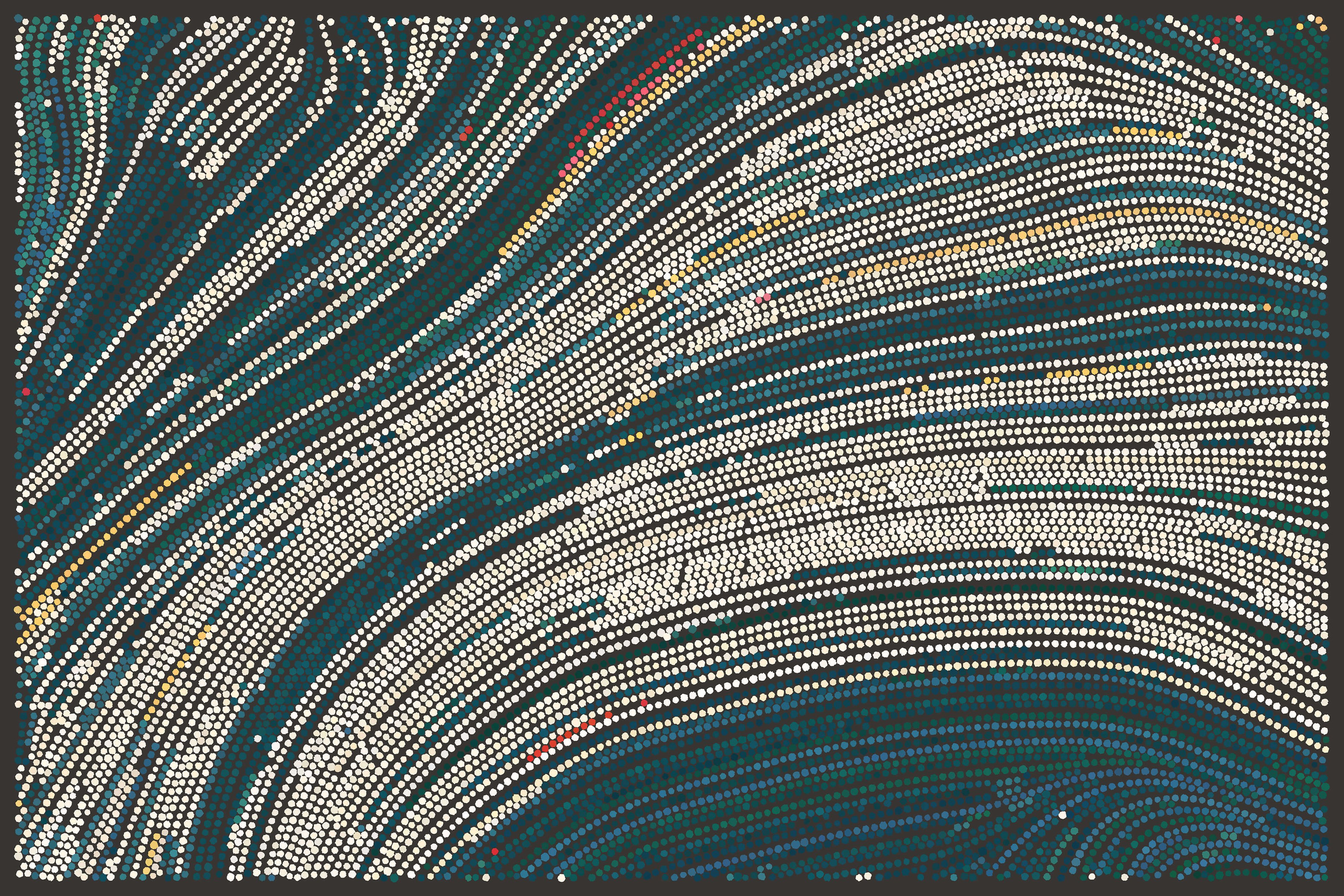 MISSING ALT TEXT