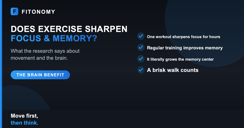 Does exercise improve focus and memory, what the research says about the brain - Fitonomy