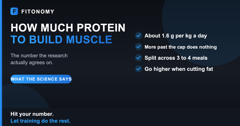 How much protein to build muscle - Fitonomy