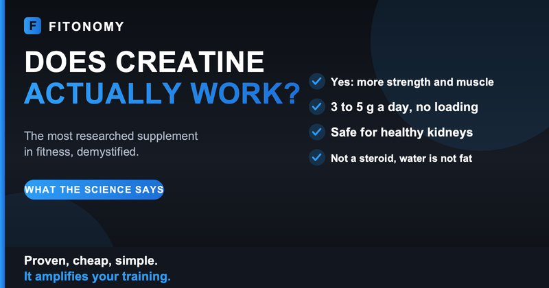 Does creatine work - Fitonomy