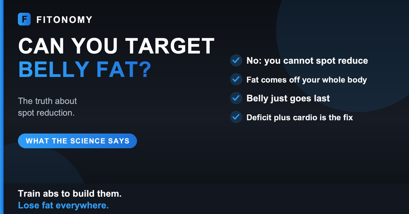 Can you target belly fat, the truth about spot reduction - Fitonomy