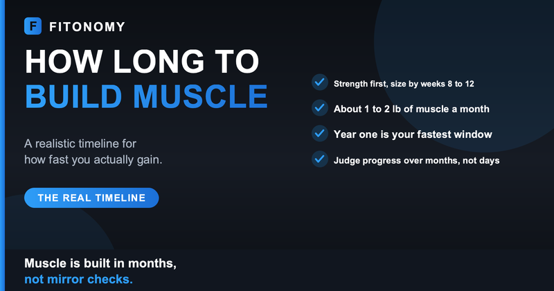 How long does it take to build muscle, a realistic timeline - Fitonomy