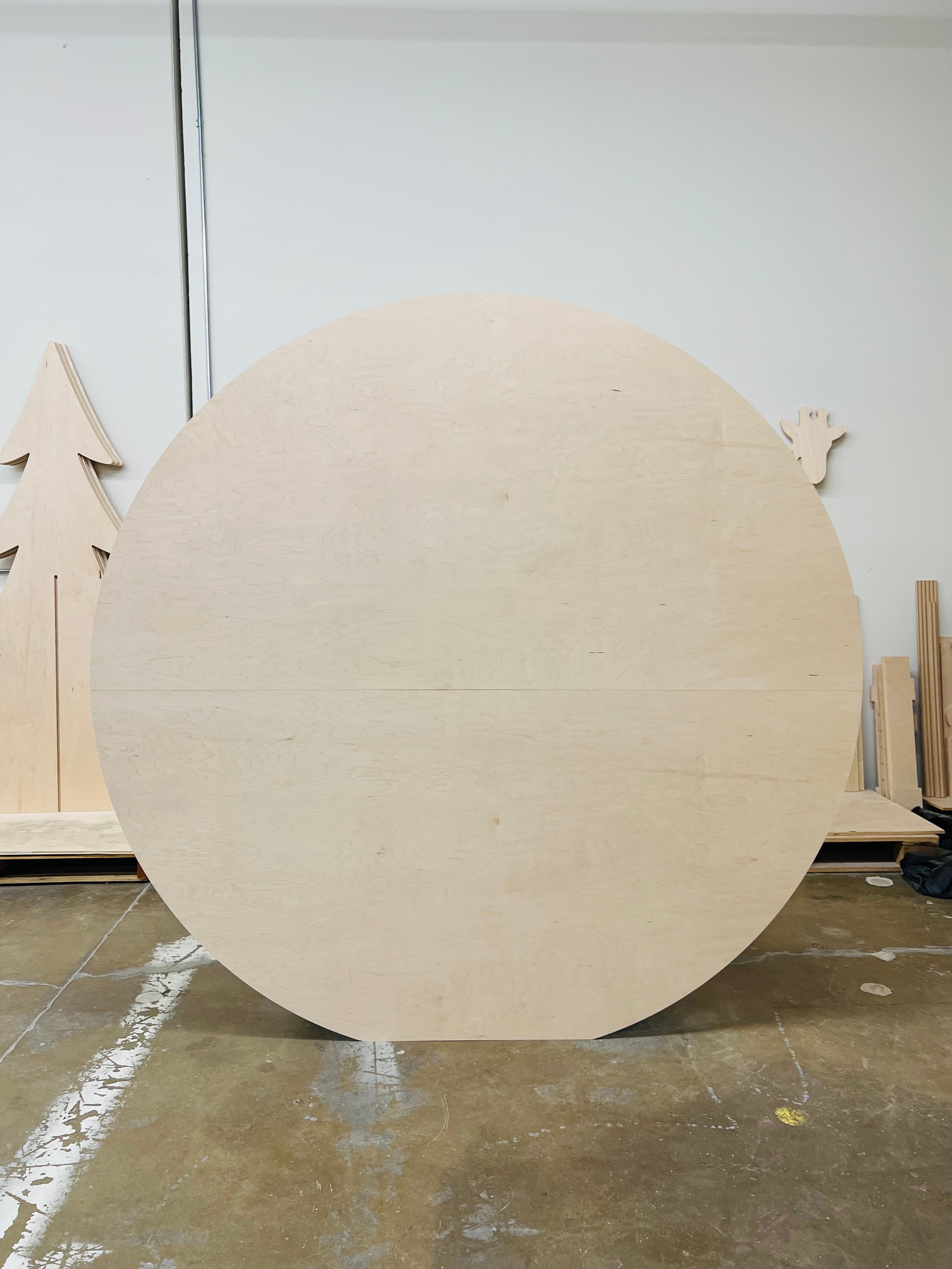 The Luna Circle Backdrop