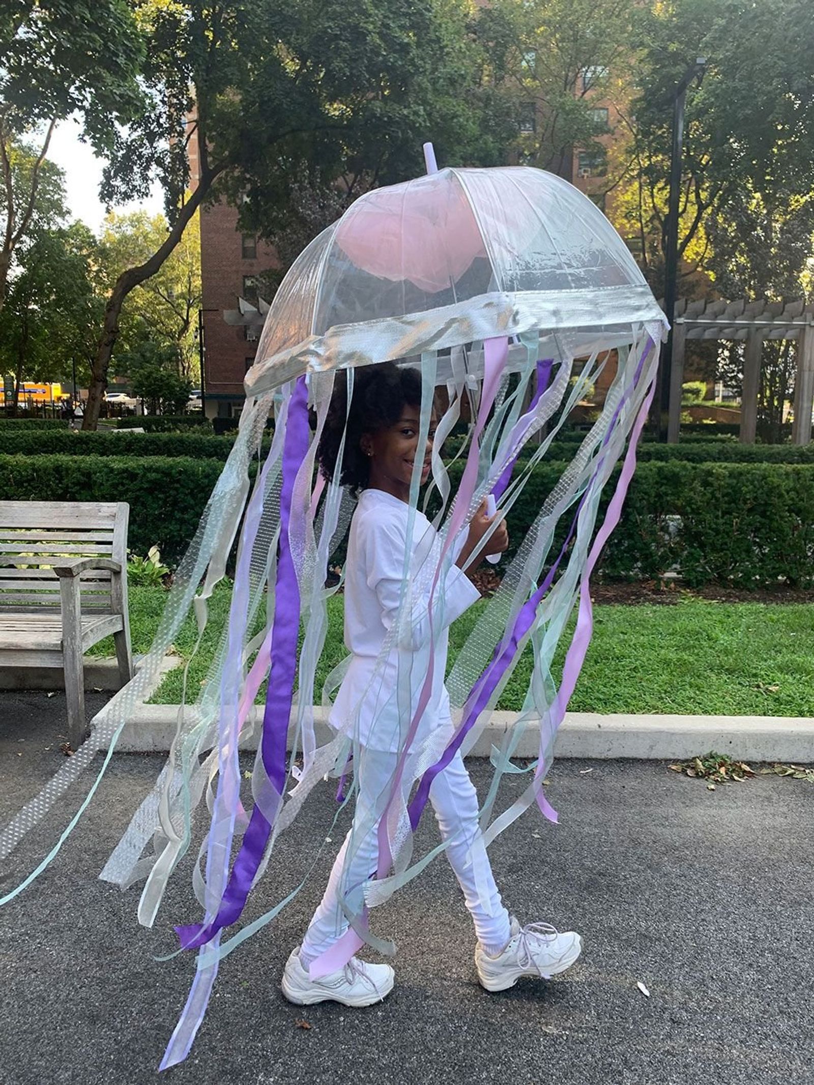 Jellyfish.JPG