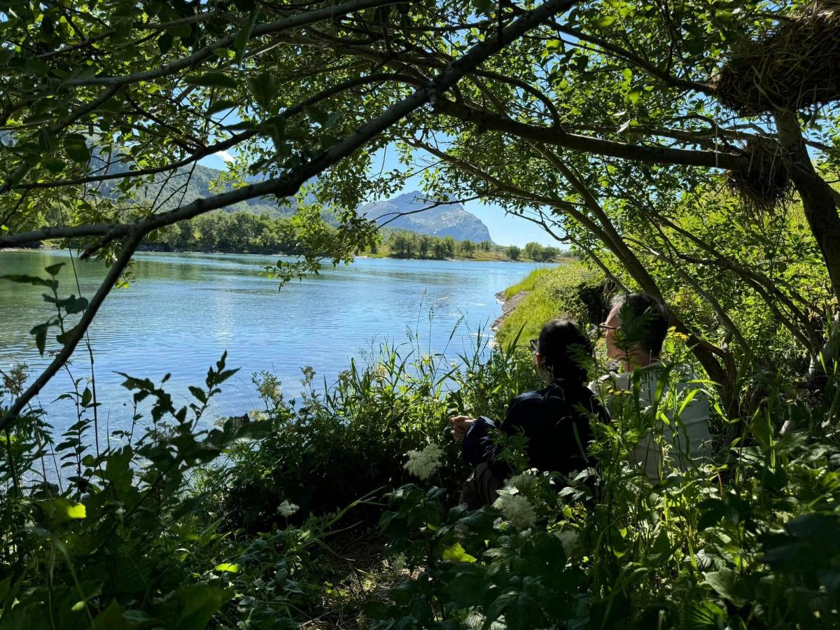 Sikt fra sitteplass under seljetreet i viken Foto: Kristen Rønnevik