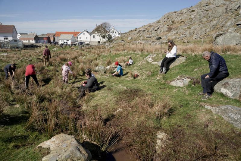 Bekkens Bestanddeler / The Components of the Stream