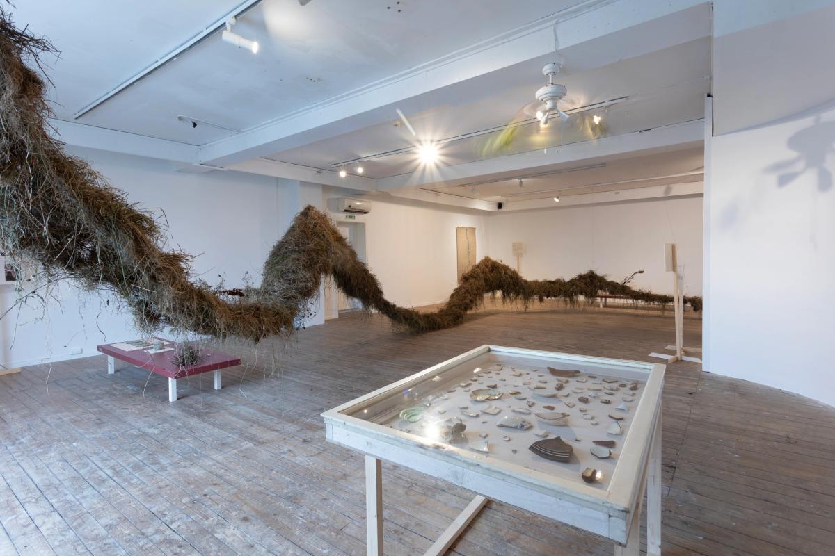 Foto: Eivind Egeland