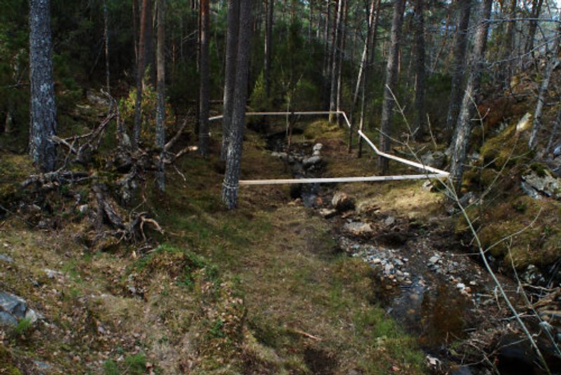 Inngjerdet bekk og Kompostgjerdet