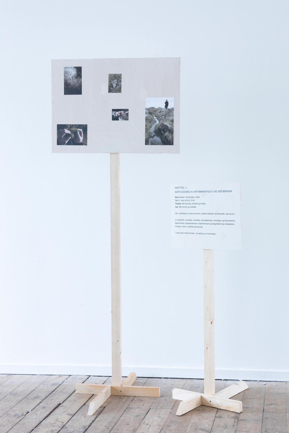 Foto: Eivind Egeland