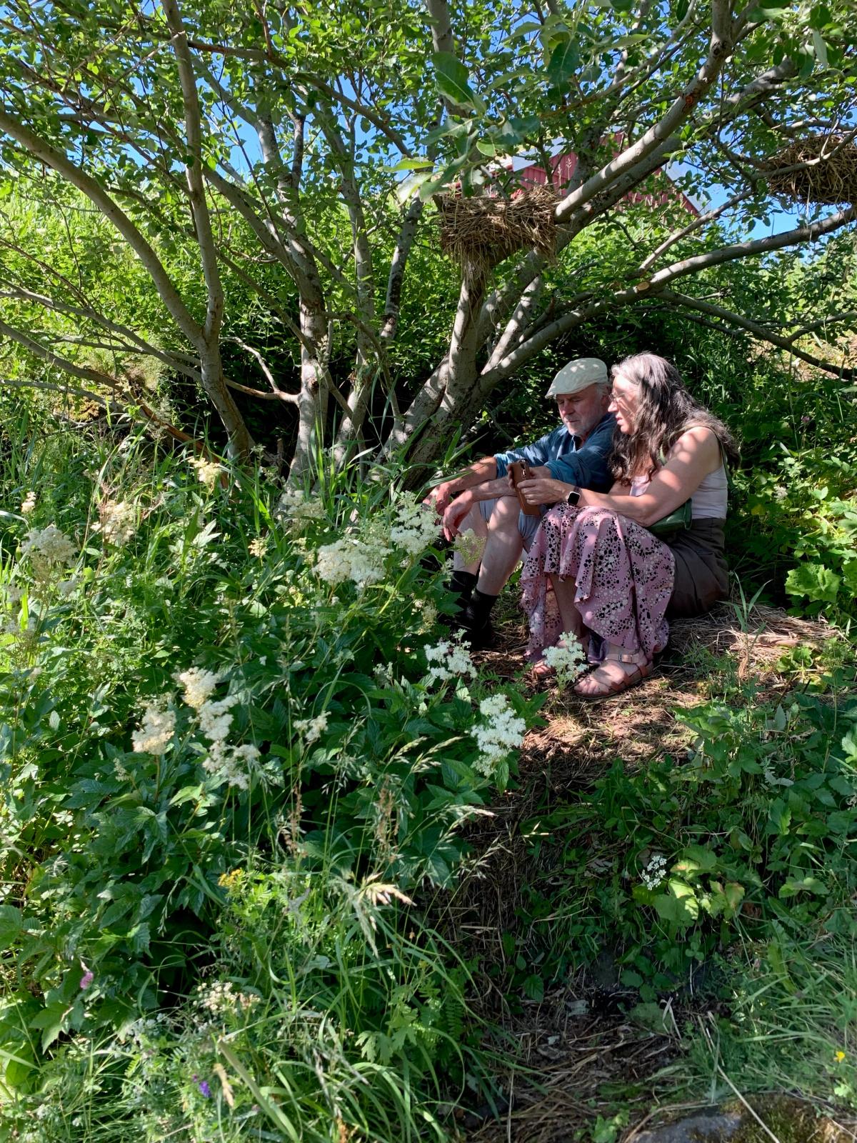 Sitteplass under seljetreet Foto: Kristen Rønnevik