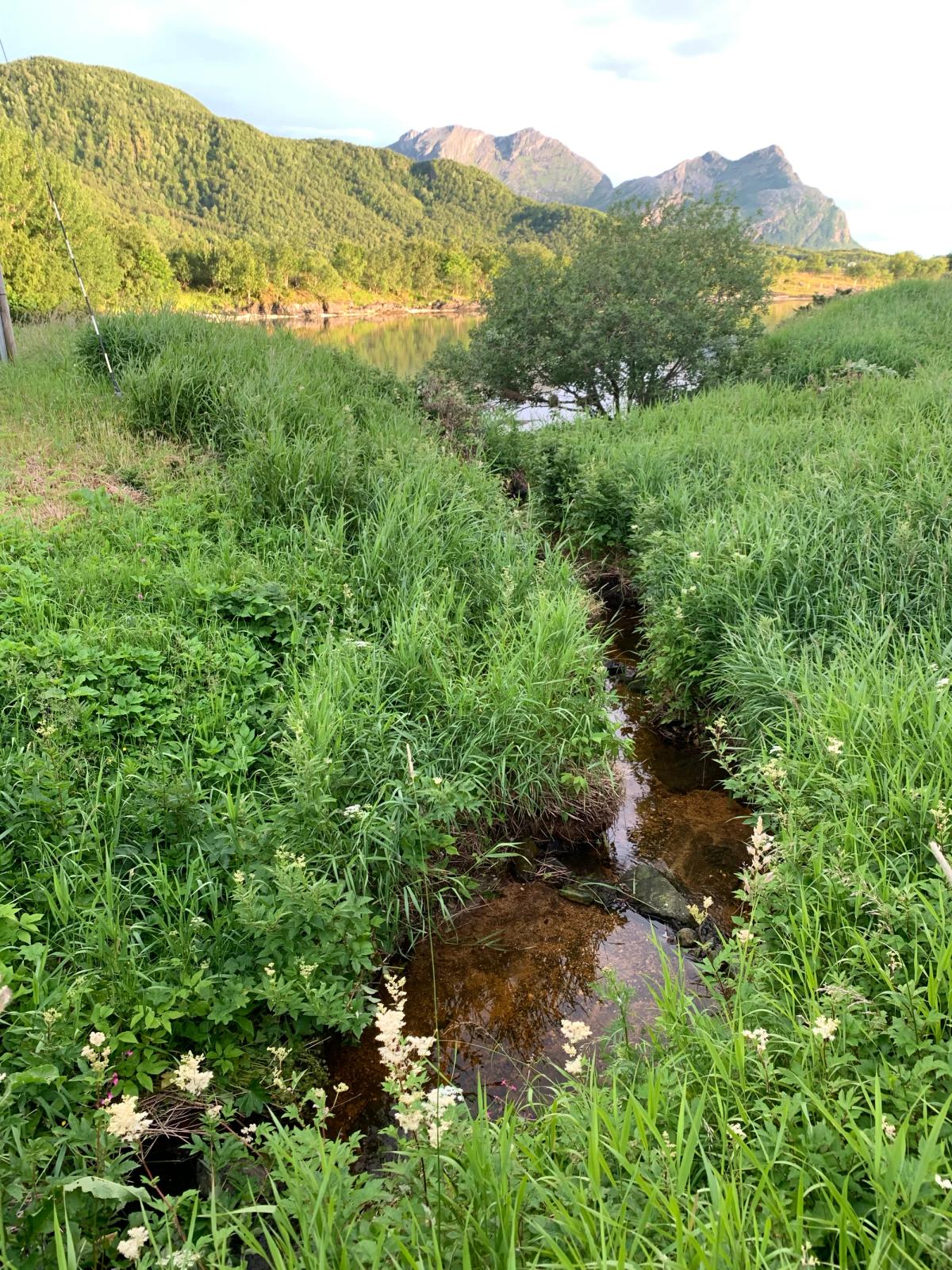 Foto: Kristen Rønnevik