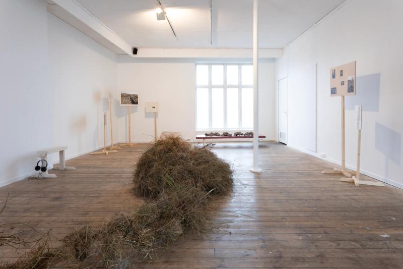 Bekkens Bestanddeler av Skrinde & Rønnevik