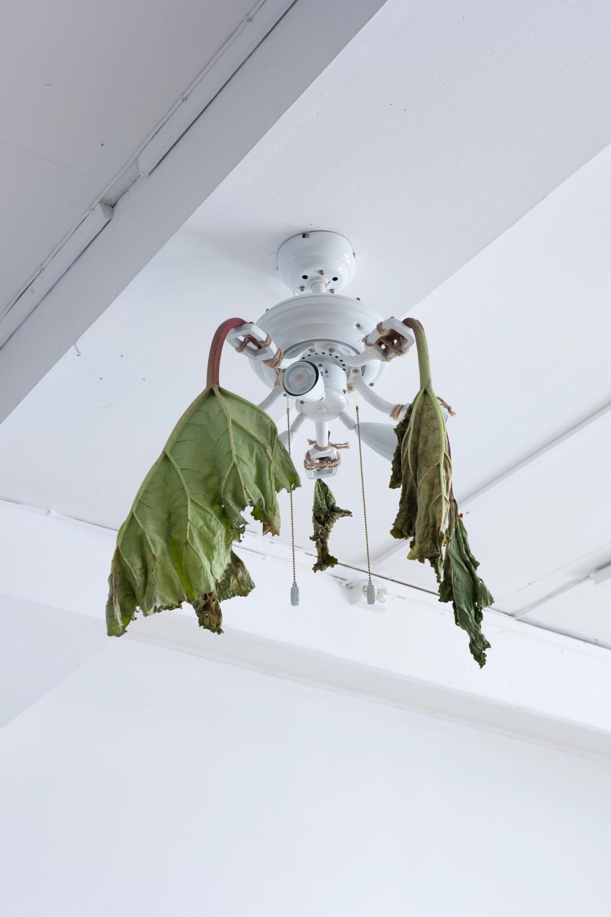 Foto: Eivind Egeland