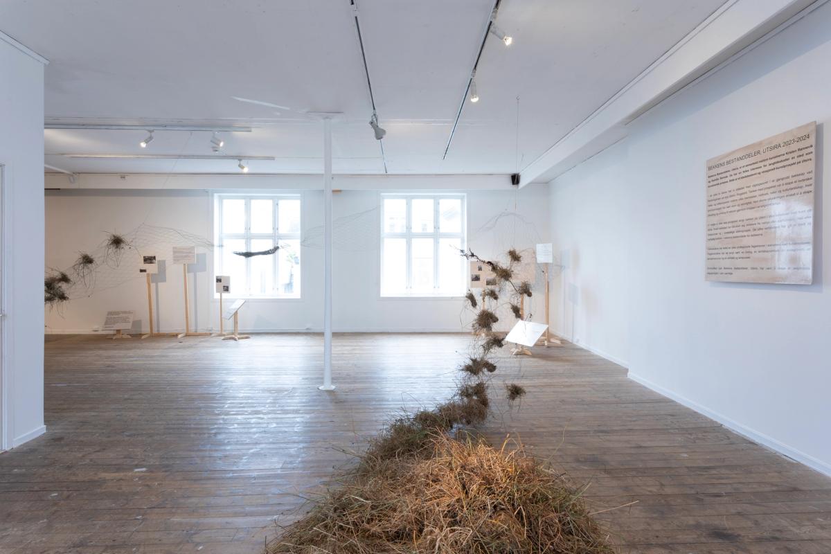 Foto: Eivind Egeland