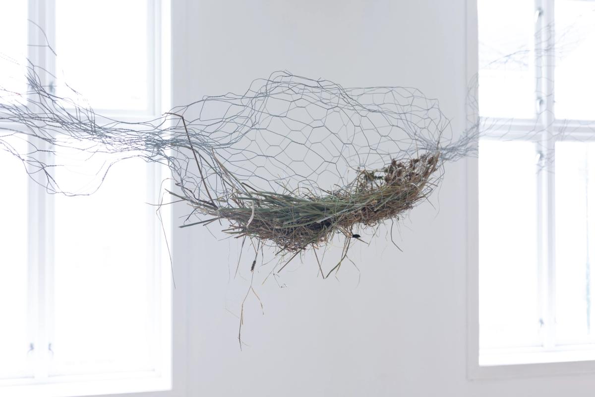 Foto: Eivind Egeland