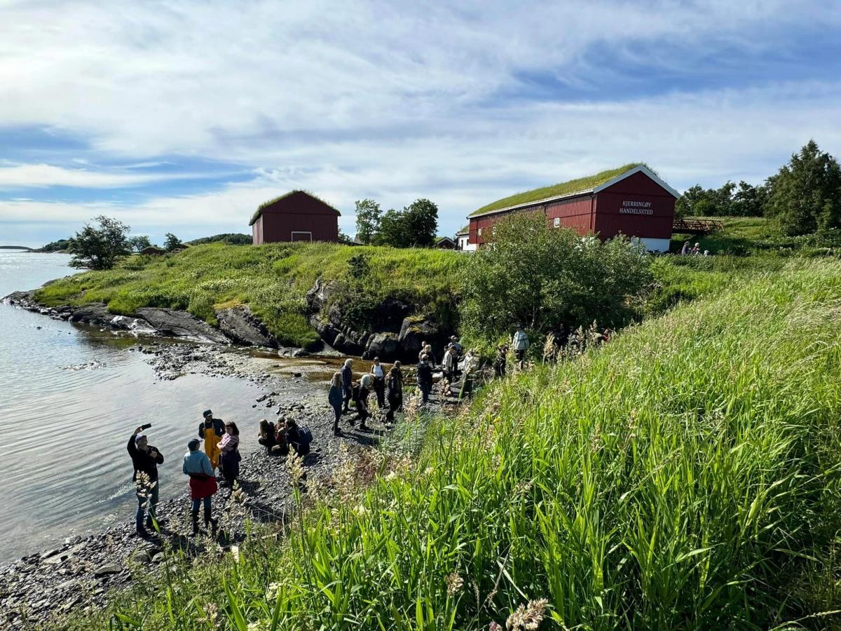 Utløpet av bekken og seljetreet ved Kjerringøy handelssted Foto: Kieran Tverrbak