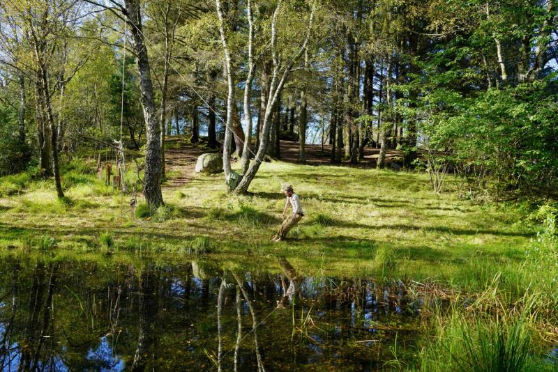 Aktsom berøring ved dammen /                                                 Gentle touch by the pond