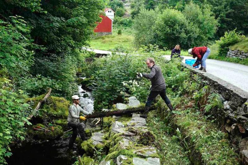 Bro til skog, og skog til ro / Bridge to forest, and forest to peace