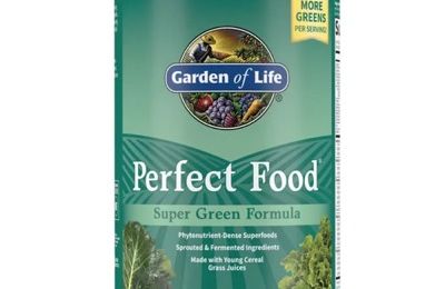 Garden of Life Raw Organic Perfect Food Green Superfood