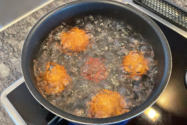 egg