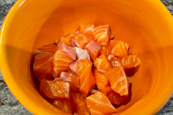 Salmon