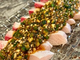 Yellowtail with Chopped Okra Sauce