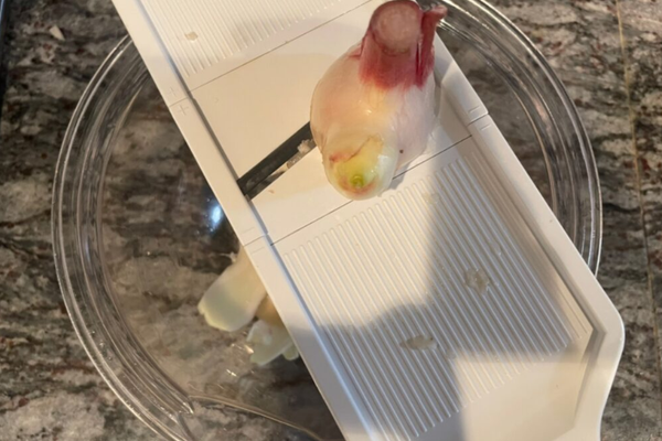 Thinly slice the young ginger.