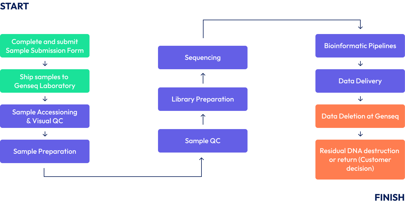 Service Workflow: Single Nuclei Gene Expression