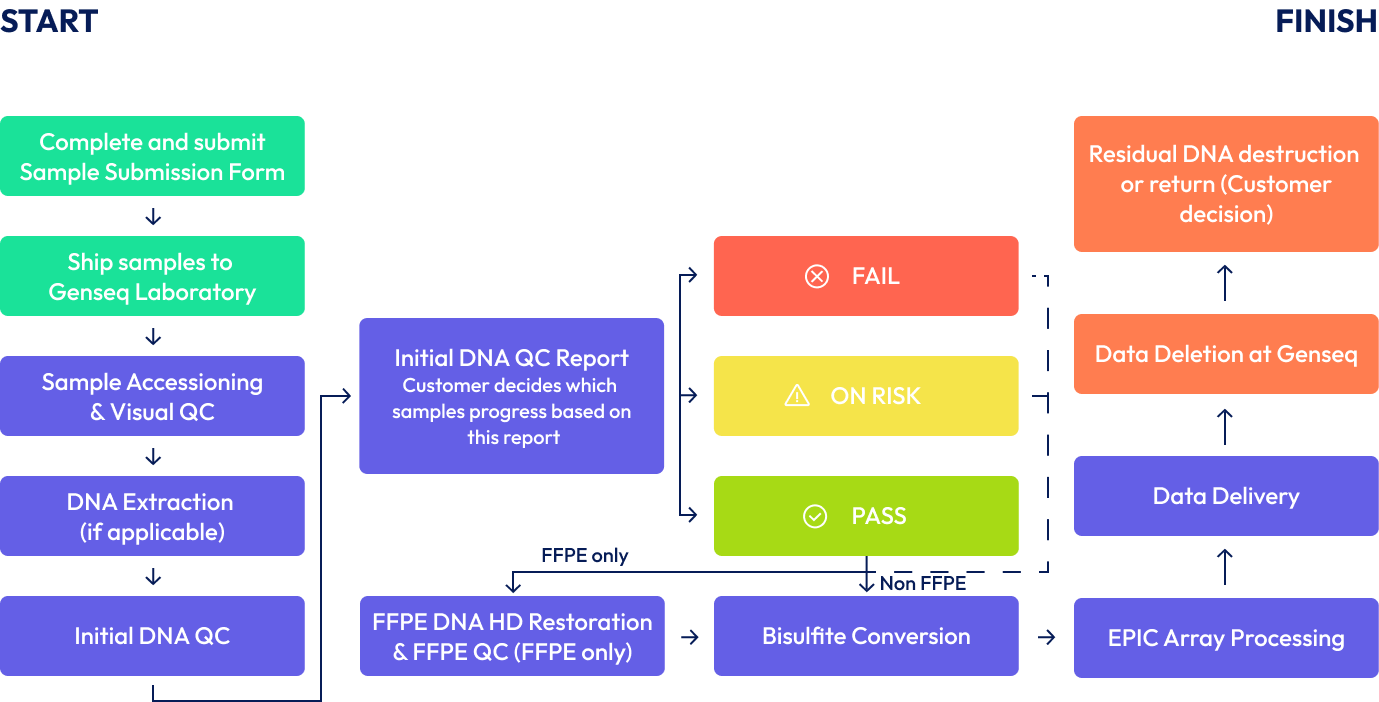 Service Workflow: Methylation Profiling