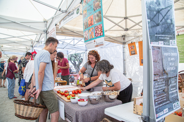 Unes 1.700 persones visiten la Fira del Tomàquet, que ven 1.200 kg de tomàquets durant el cap de setmana