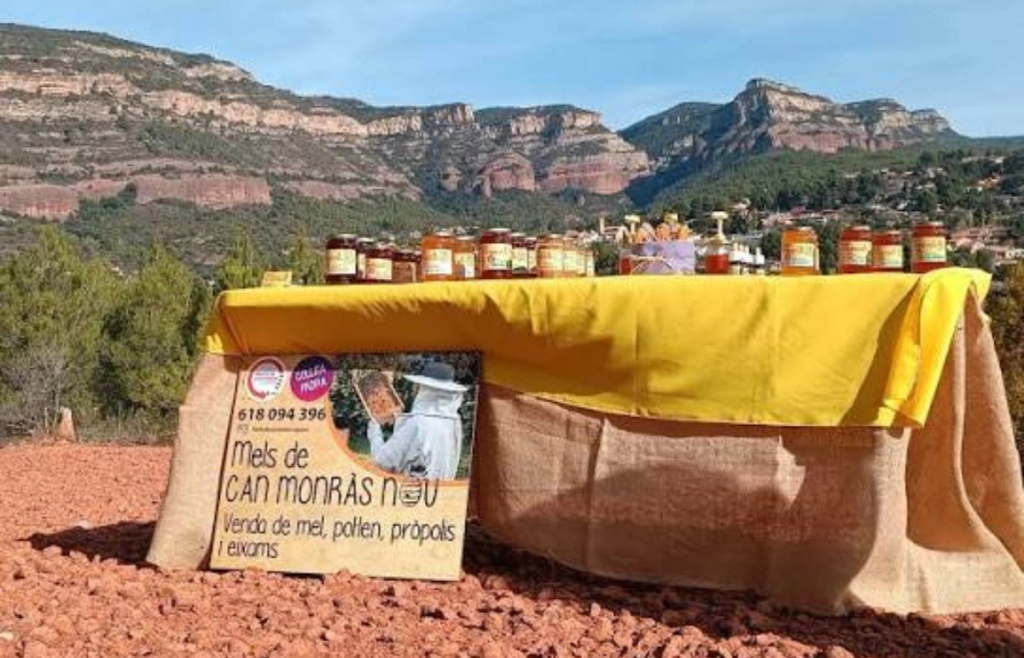 Can Monràs Nou