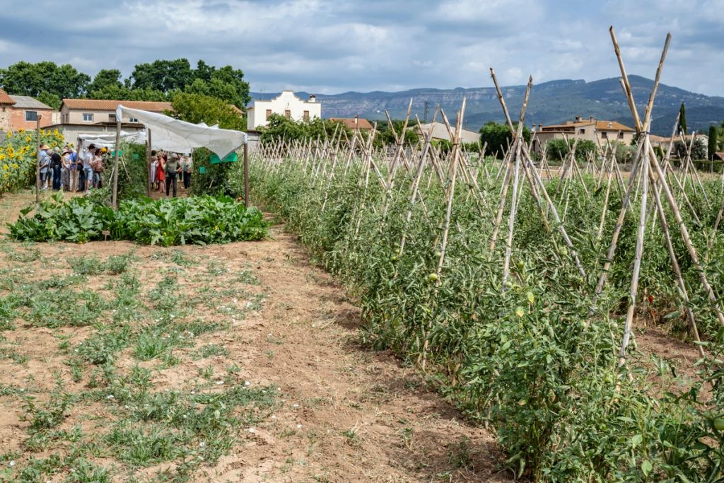 Visites a l’hort